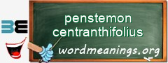 WordMeaning blackboard for penstemon centranthifolius